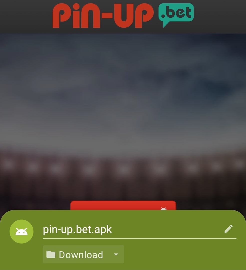 Скачать приложение Pin Up Bet на Андроид с официального сайта